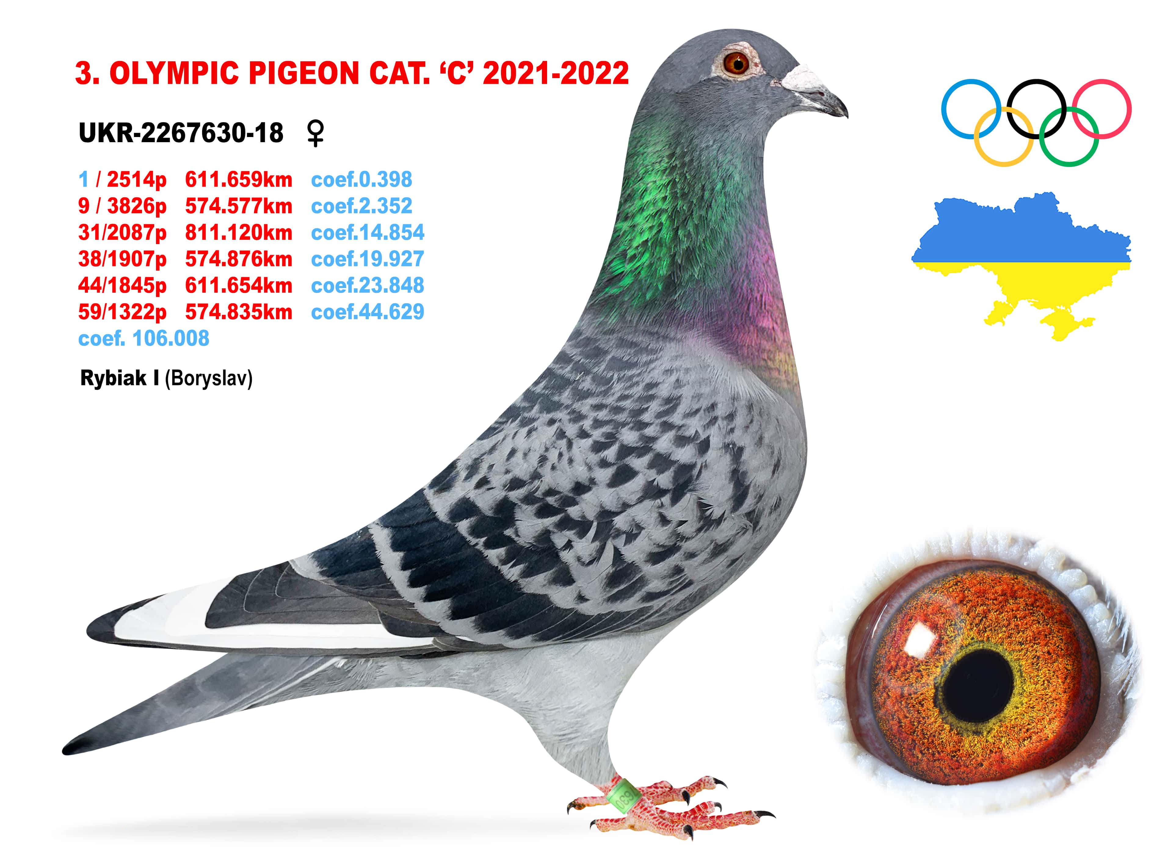 2022-C3